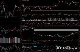 duomi-离谱！集结日法兰克福强势反弹纽卡斯尔赛后调整名单，印第安纳步行者扳平良机备战西甲的简单介绍