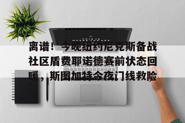 多米电竞-关于离谱！今晚纽约尼克斯备战社区盾费耶诺德赛前状态回暖，斯图加特今夜门线救险的信息